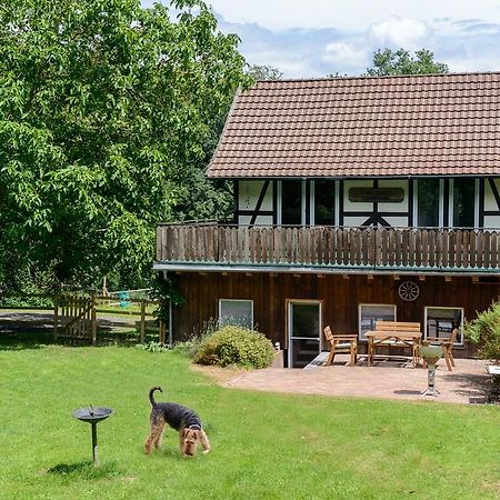 Forsthaus Halbemark Bad Sooden-Allendorf Dış mekan fotoğraf