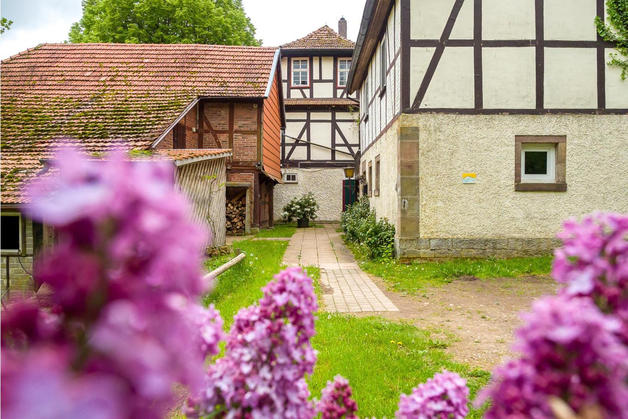 Forsthaus Halbemark Bad Sooden-Allendorf Dış mekan fotoğraf