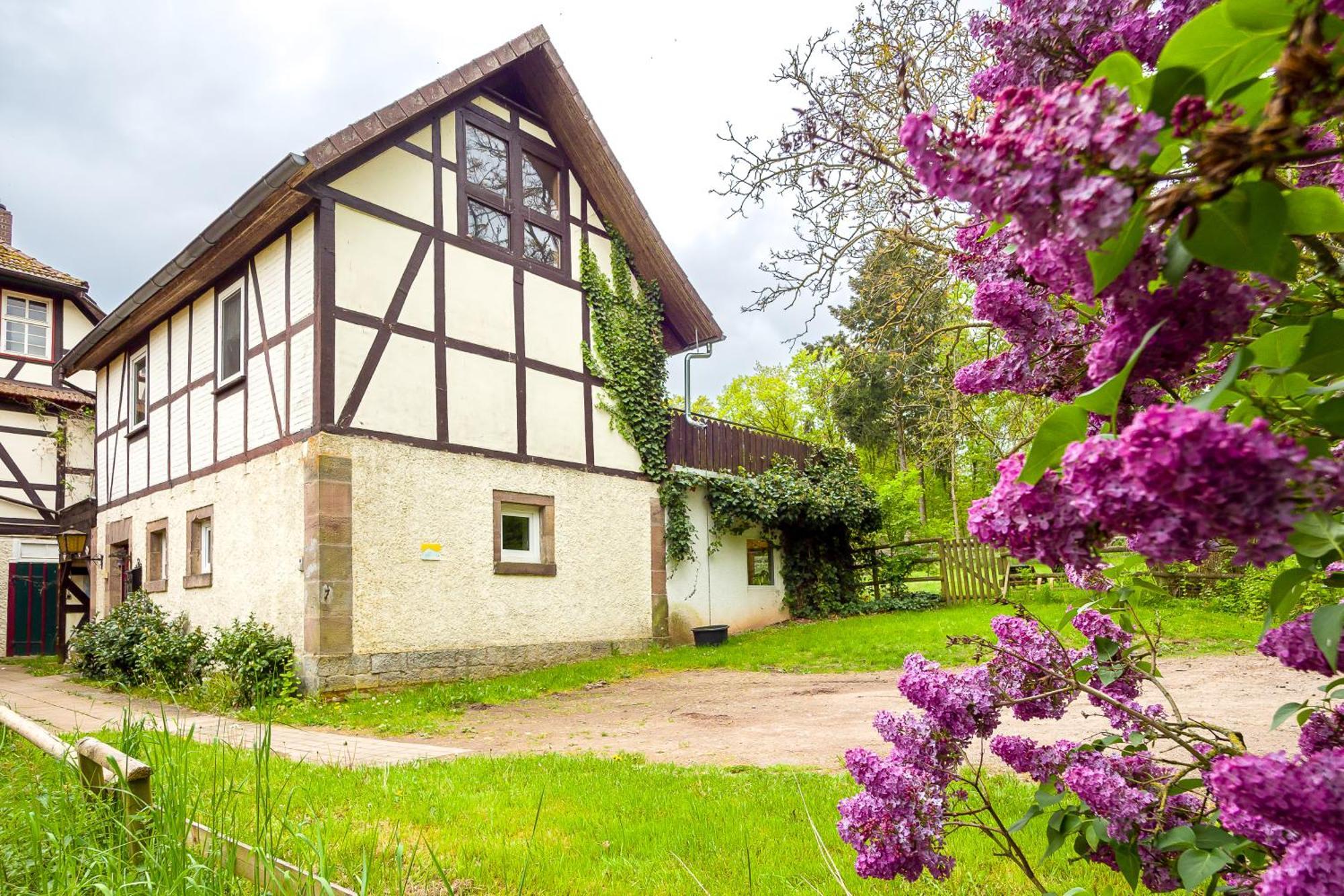 Forsthaus Halbemark Bad Sooden-Allendorf Dış mekan fotoğraf